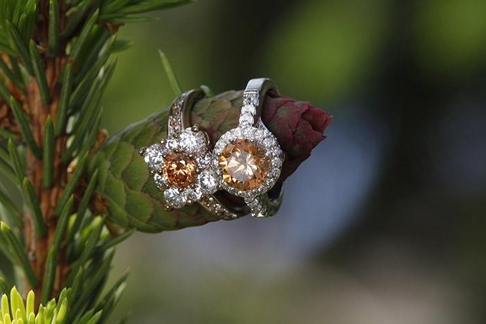 two morganite rings on a conifer bud, morganite with diamonds around in halo setting