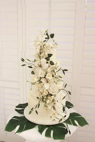 White tiered wedding cake Jordan Ellen with white flowers on for decoration