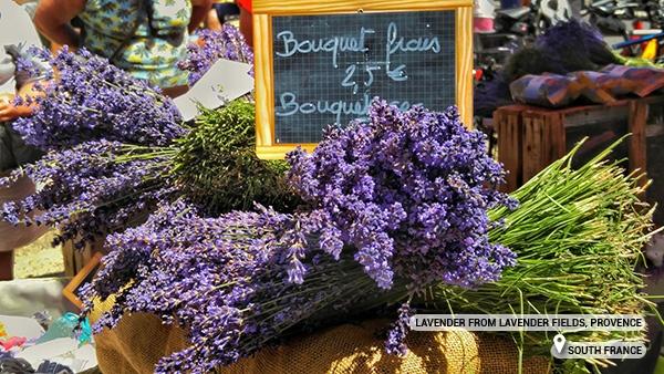 Many destination weddings take place in Provence with fields of lavender
