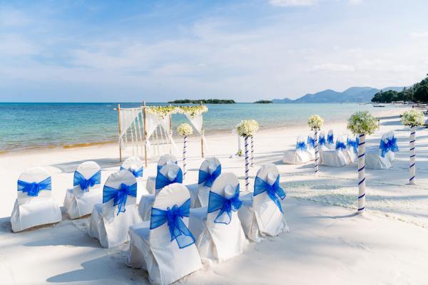 We Provide Best Travel and Wedding Destination
